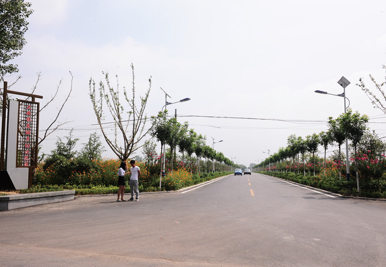 兗州大安鎮(zhèn)道路